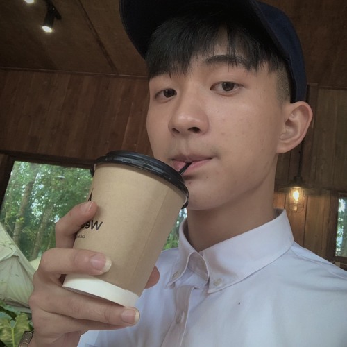 PhongCon 🥷 — artist photo