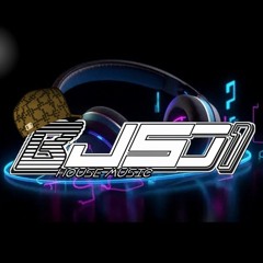 BJS01
