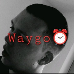 Waygogoretarded
