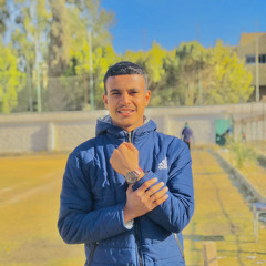 Fares Elalmany