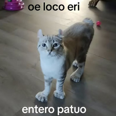 Nahuel
