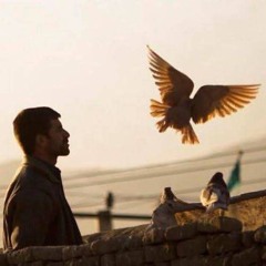 سَرَابْ. 🕊