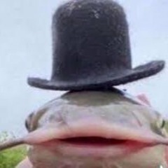 GIGGLETOP