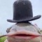 GIGGLETOP