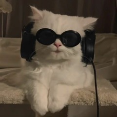 zainab's  playlist:)
