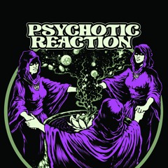 Psychotic Reaction(Band)