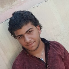 Mahmoud M Masamreh