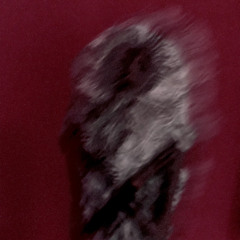 mortuitem spiritus