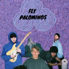 Fly Palominos