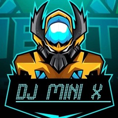 Dj mini x