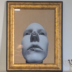 Thomas Schneider 14