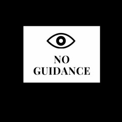 No Guidance