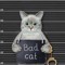 BAD CAT