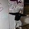 Tom_207