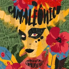 PARAISO DO TUIUTI 2023