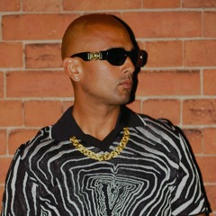 VIK VEGA