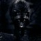 dark wolf