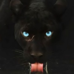 Cha
