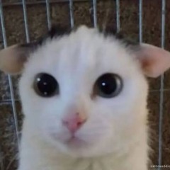 User 8045935741133333