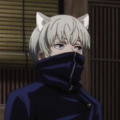 ⟡ ‎ ‎‎ stella   ﹐