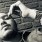 Ameer Aljoo /أم̷ــــي̷ــــــر̷   ب̷ــن كَرم̷ــــــ