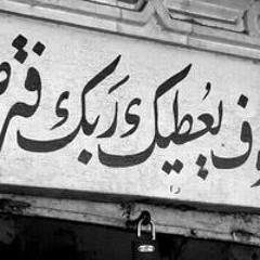 Nahed Elwazer