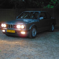 Ludo0228