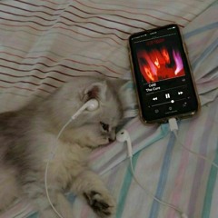 Max хуN