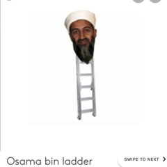 Osama bin ladder