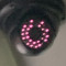 zxqv