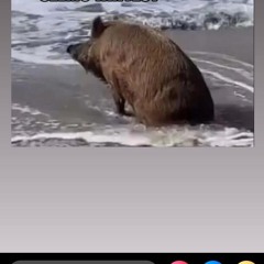 szypki