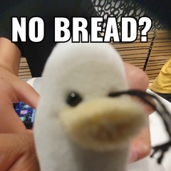YourLocalDuck