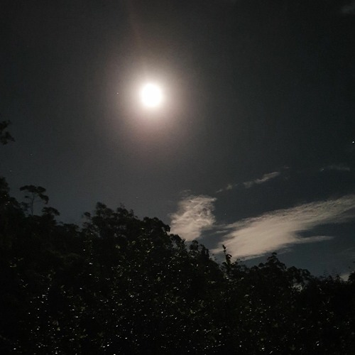 Stream Tara Moon Child music Listen to songs, albums, playlists for