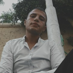 Mohamed Ahmed Ali
