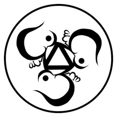 DIGITAL OHM
