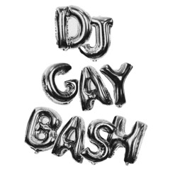 DJ GayBash!