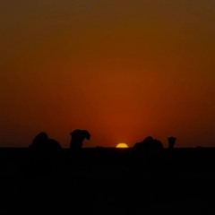 قـ  م ــ را