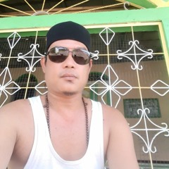 ari tobyboy