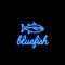 bluefish tunes