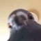 SillyBirbWeeeeeeeeeeeeeeeeeeeeeeeeeeeeeeeeeeeeee:3