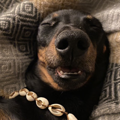 Matias Romero Victorica