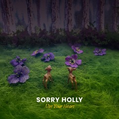 sorryholly