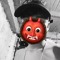Felipe Obando
