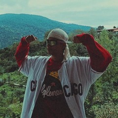 tirip