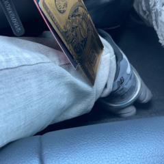 12sightss