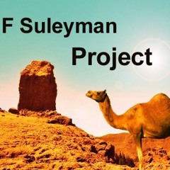 F Suleyman Project