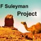 F Suleyman Project