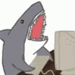 Shark_1TB