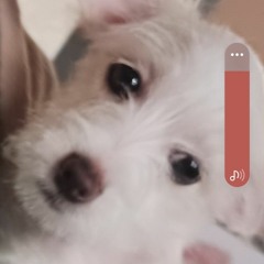hi.......... bye