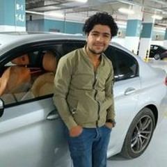 Mustafa R Elgazar